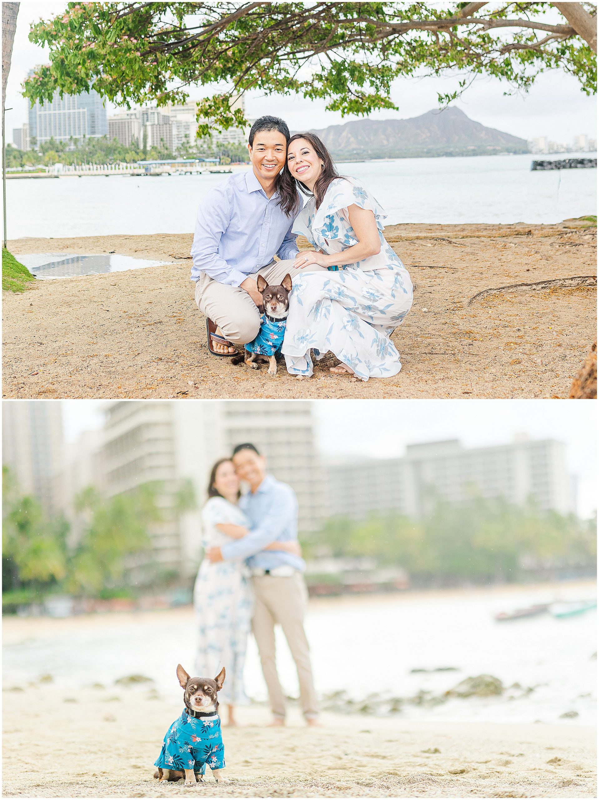 engagement photos on the beach in waikiki with their dog