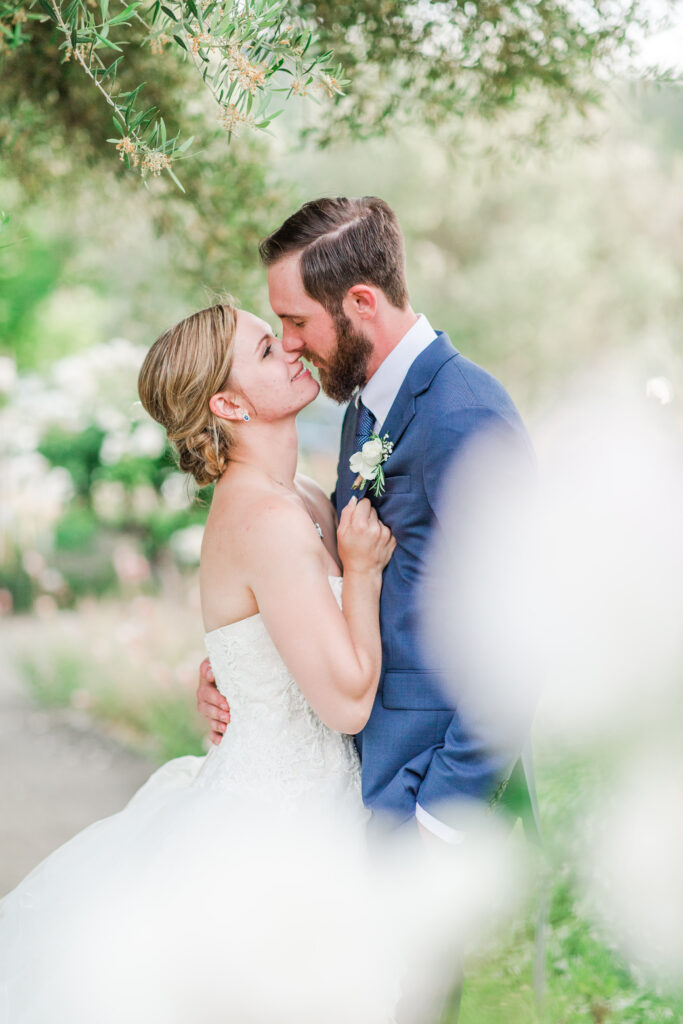 spring portrait at sbragia family winery